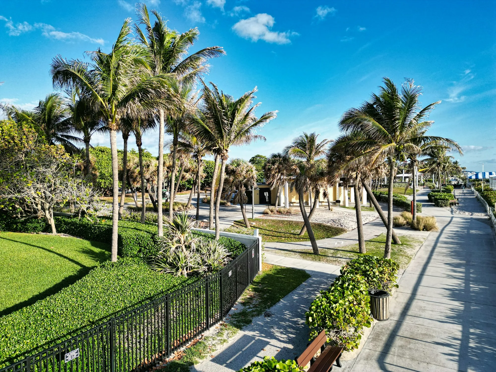 A row of houses behind palm trees